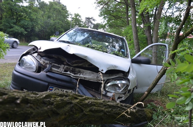Opel uderzył w drzewo na alei Jana Pawła II
