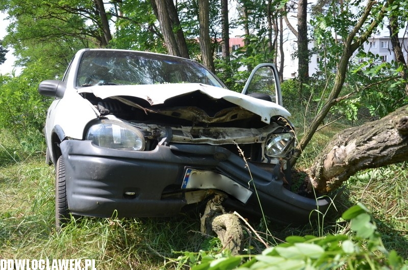 Opel uderzył w drzewo na alei Jana Pawła II