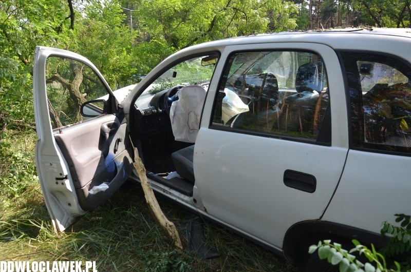 Opel uderzył w drzewo na alei Jana Pawła II