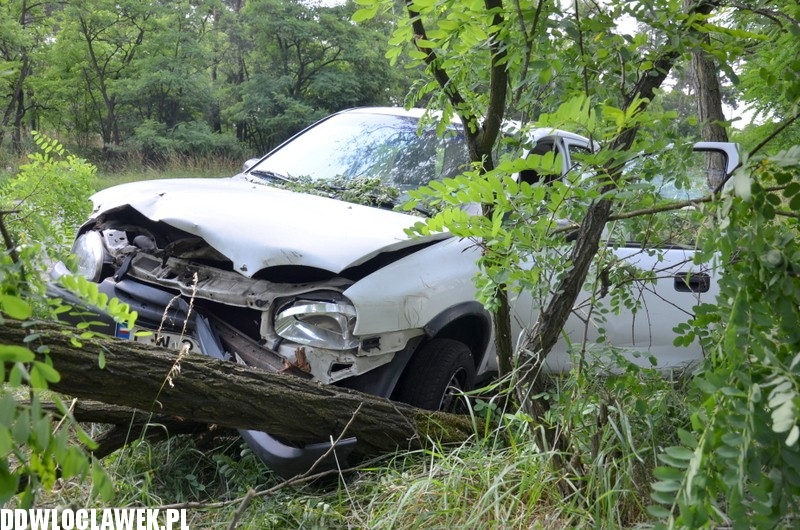 Opel uderzył w drzewo na alei Jana Pawła II