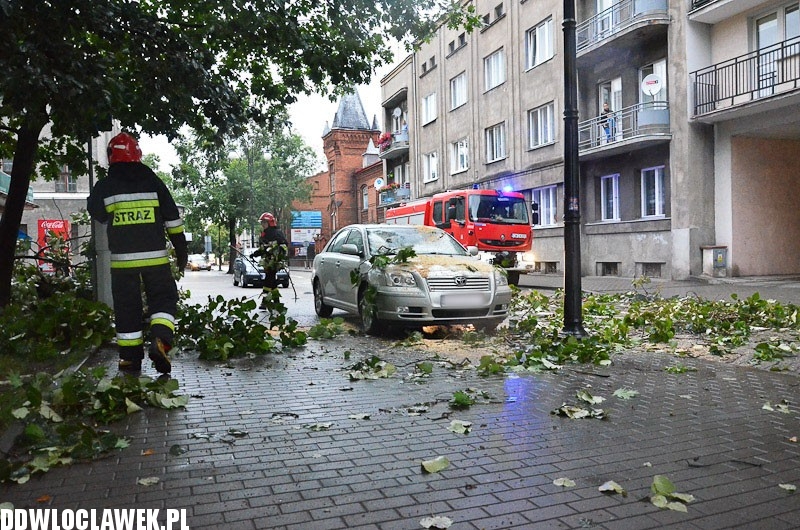 W centrum przewróciło się drzewo i uszkodziło 2 auta