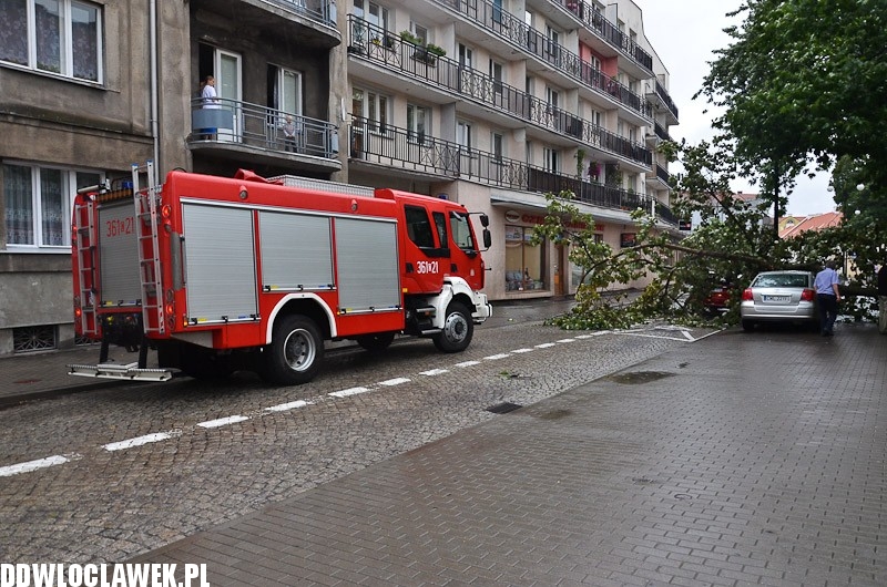 W centrum przewróciło się drzewo i uszkodziło 2 auta