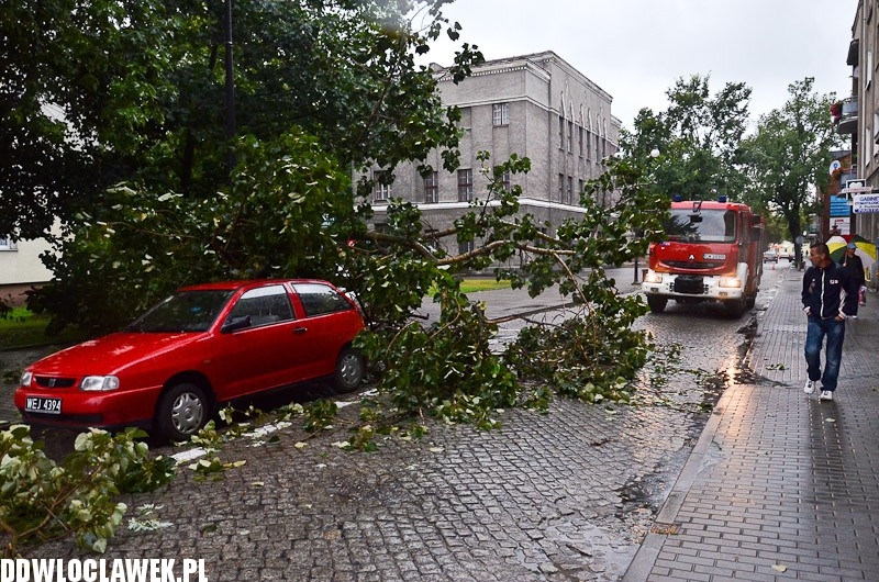 W centrum przewróciło się drzewo i uszkodziło 2 auta