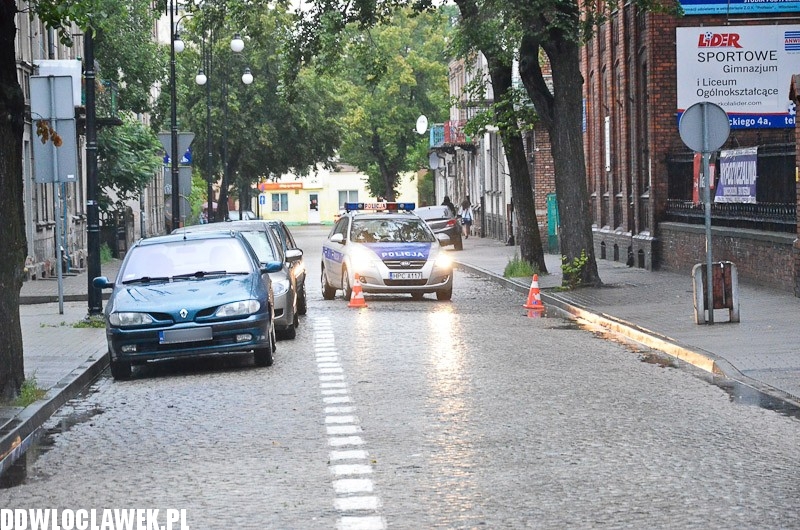 W centrum przewróciło się drzewo i uszkodziło 2 auta