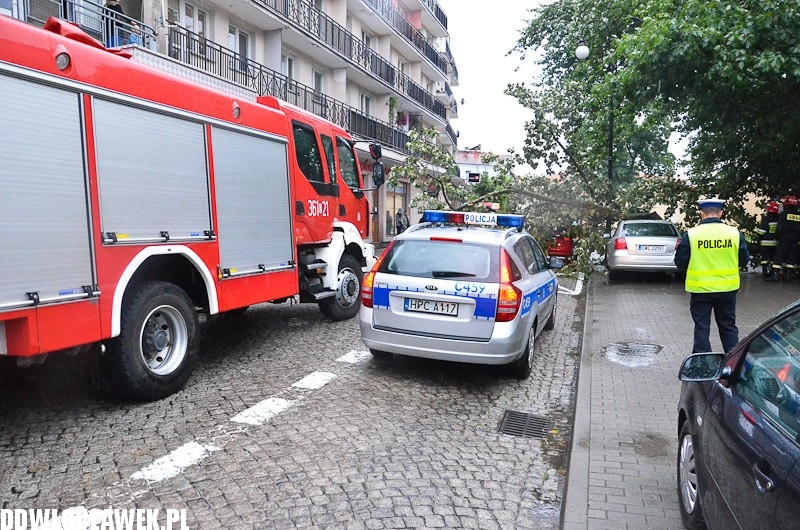 W centrum przewróciło się drzewo i uszkodziło 2 auta