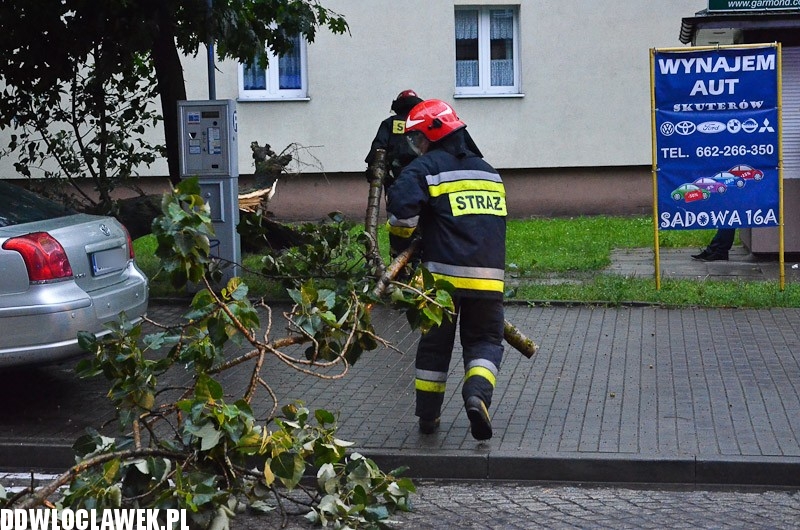 W centrum przewróciło się drzewo i uszkodziło 2 auta