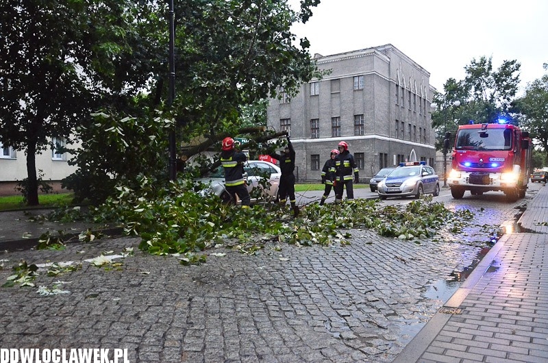 W centrum przewróciło się drzewo i uszkodziło 2 auta