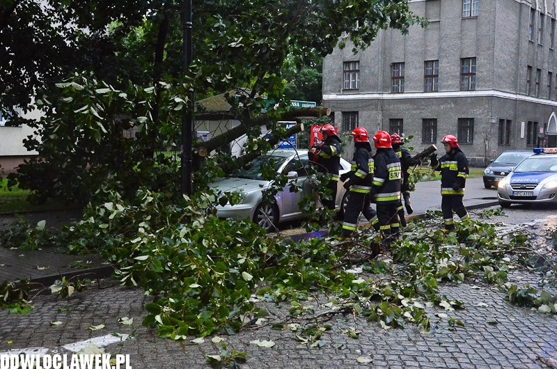 W centrum przewróciło się drzewo i uszkodziło 2 auta
