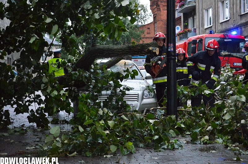 W centrum przewróciło się drzewo i uszkodziło 2 auta