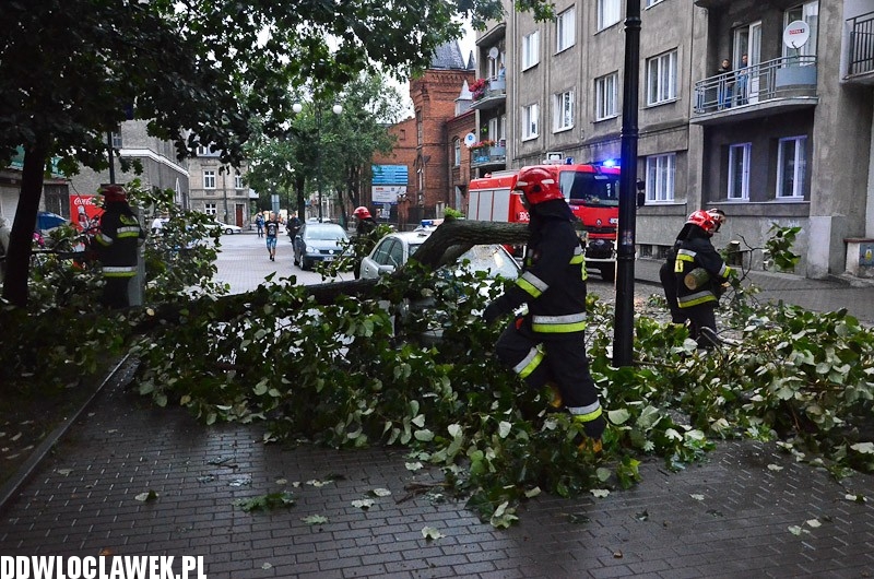 W centrum przewróciło się drzewo i uszkodziło 2 auta
