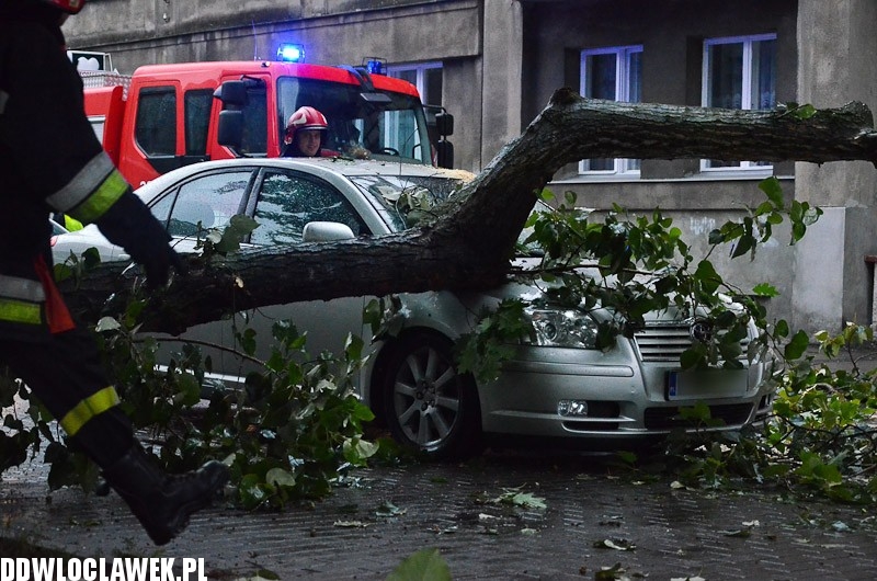 W centrum przewróciło się drzewo i uszkodziło 2 auta