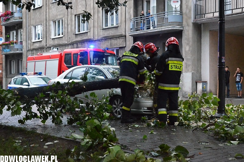 W centrum przewróciło się drzewo i uszkodziło 2 auta