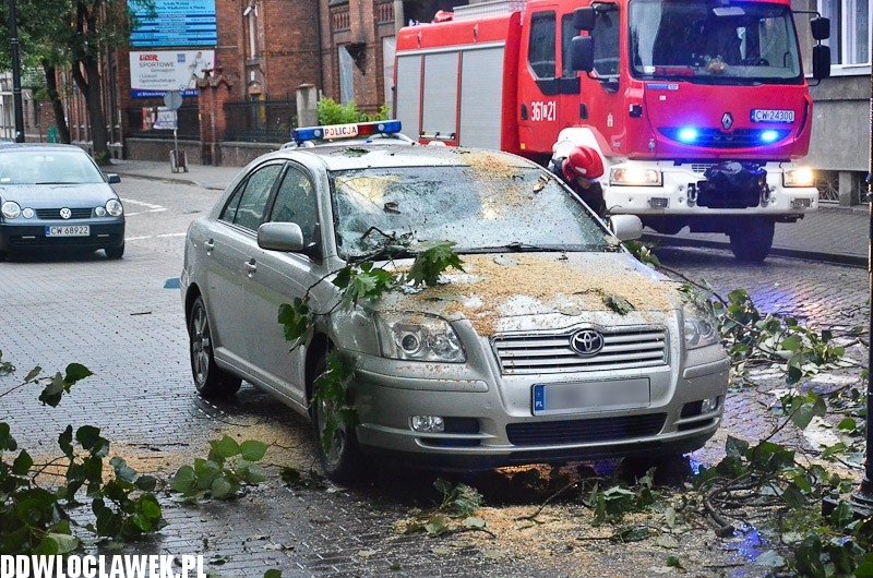 W centrum przewróciło się drzewo i uszkodziło 2 auta