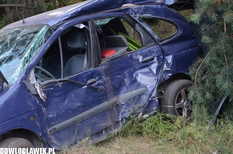 Wypadek na krajowej jedynce