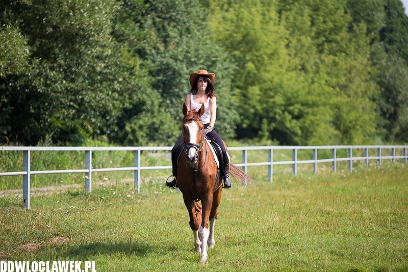 Sesja foto regionalnego etapu Miss Polka 2013