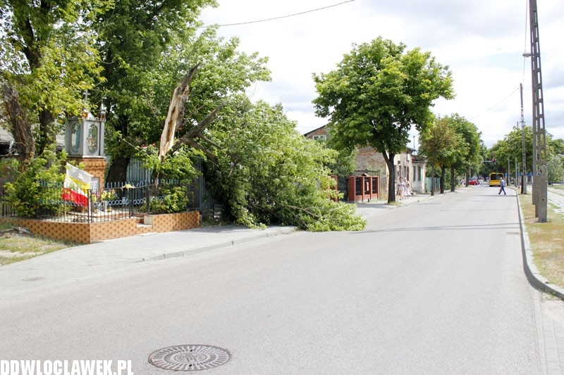 Silny wiatr hulał na Długiej. Co zniszczył?