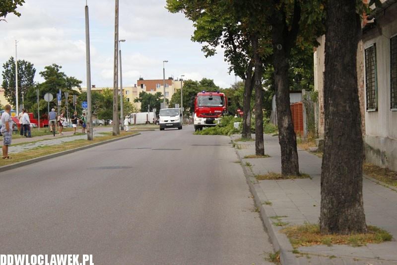 Silny wiatr hulał na Długiej. Co zniszczył?