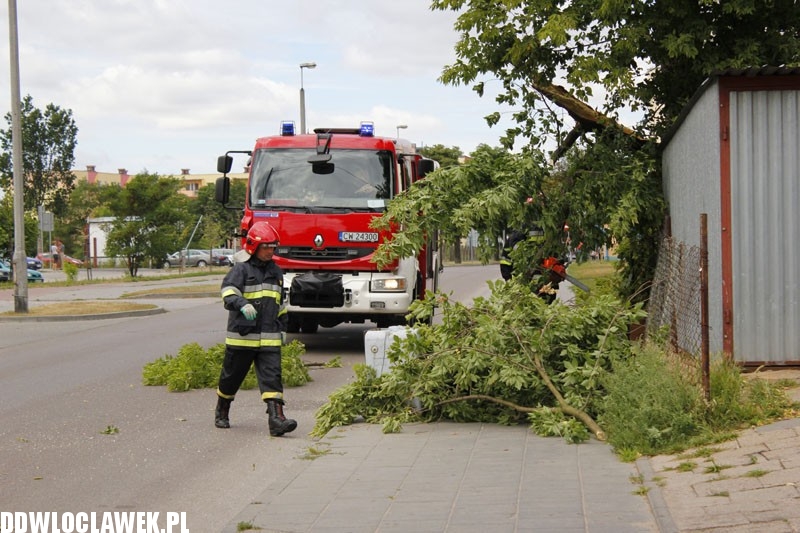 Silny wiatr hulał na Długiej. Co zniszczył?