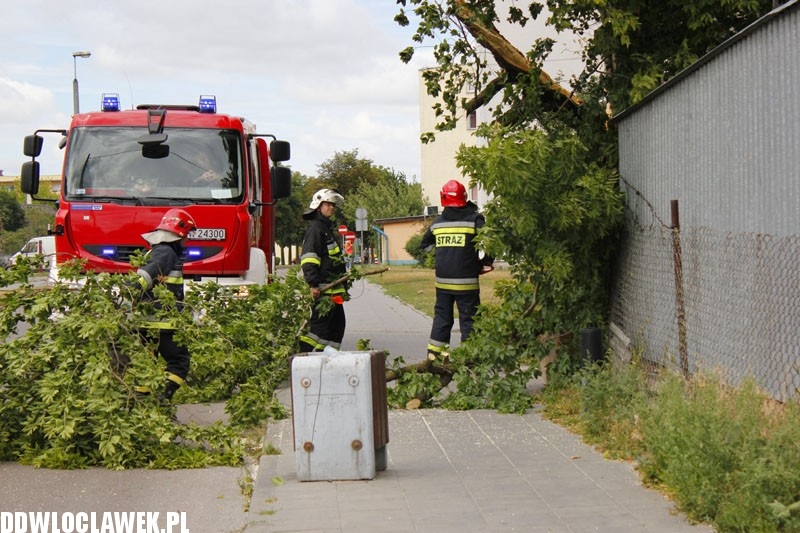 Silny wiatr hulał na Długiej. Co zniszczył?