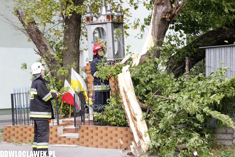 Silny wiatr hulał na Długiej. Co zniszczył?