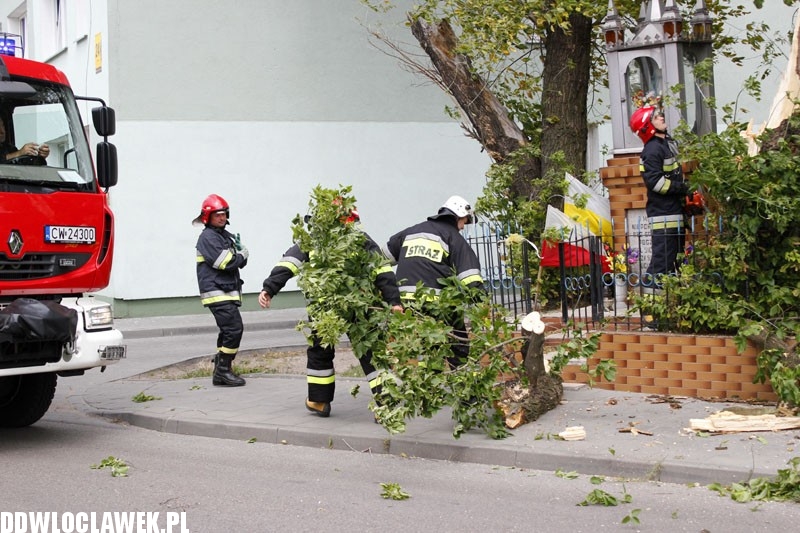 Silny wiatr hulał na Długiej. Co zniszczył?