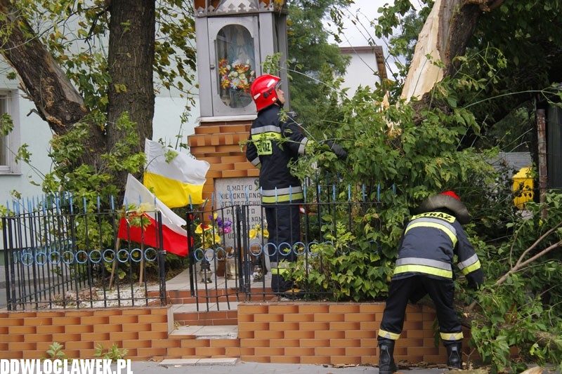 Silny wiatr hulał na Długiej. Co zniszczył?