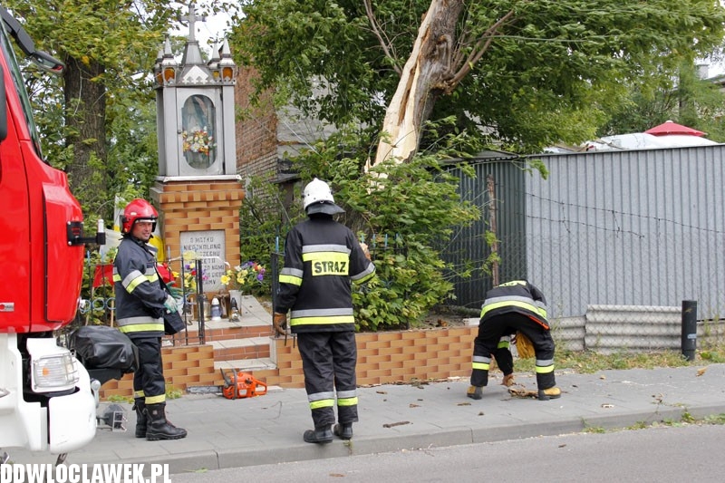 Silny wiatr hulał na Długiej. Co zniszczył?