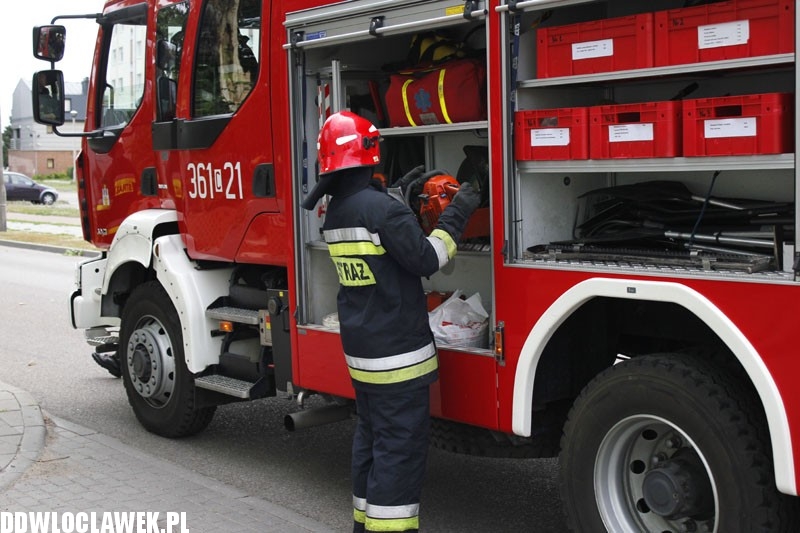 Silny wiatr hulał na Długiej. Co zniszczył?