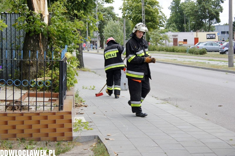 Silny wiatr hulał na Długiej. Co zniszczył?