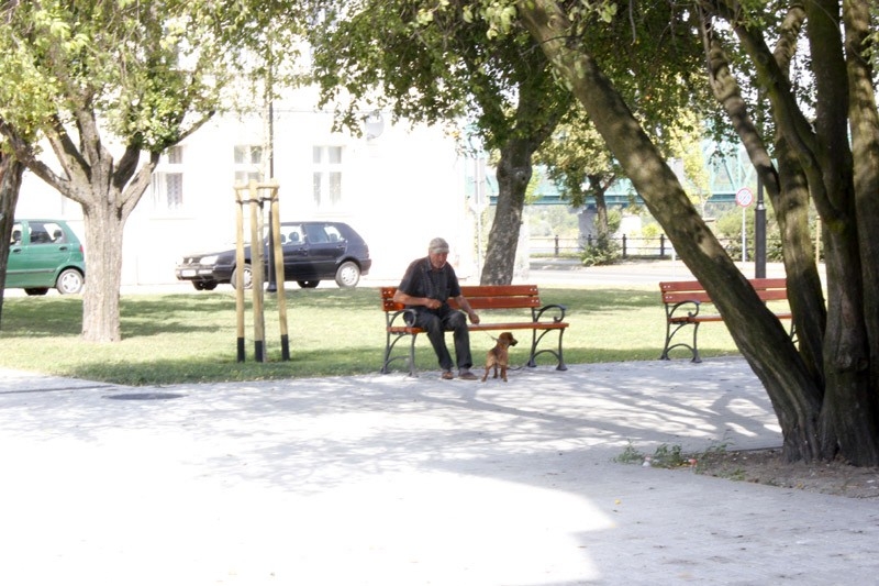 Zakończyły się prace na Starym Rynku