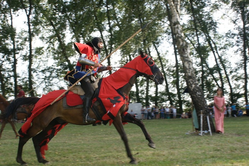 Rekonstrukcja bitwy pod Płowcami