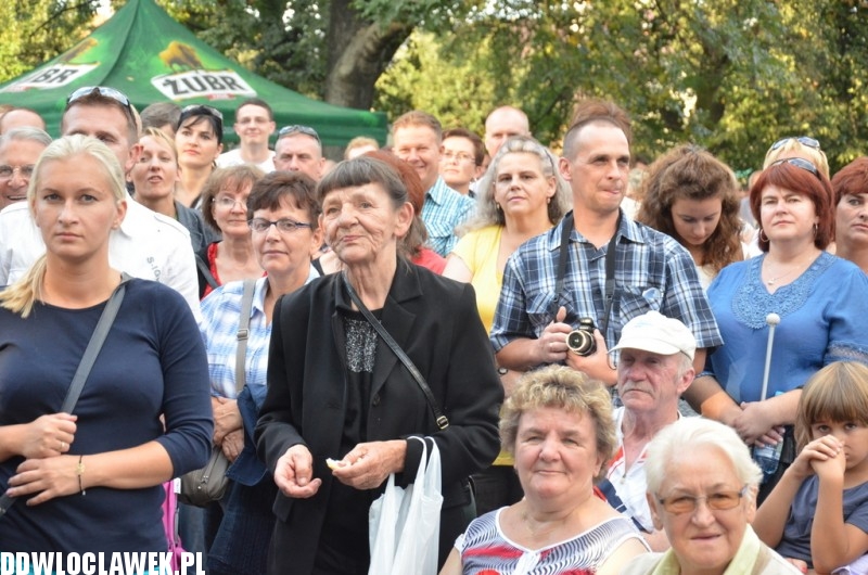 Dożynki w Brześciu Kujawskim - Koń Polski