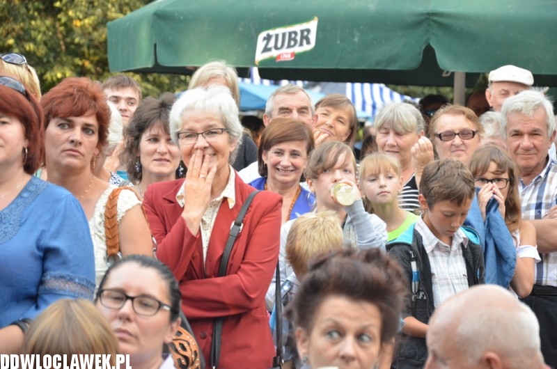 Dożynki w Brześciu Kujawskim - Koń Polski