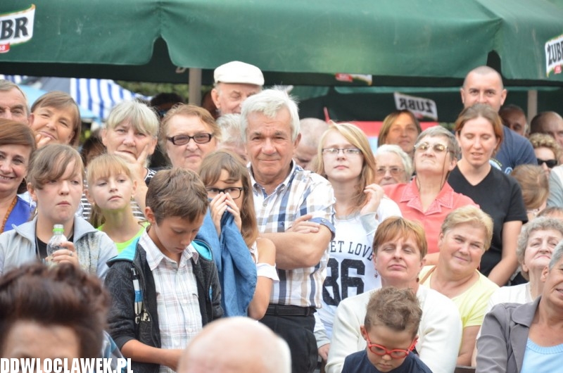 Dożynki w Brześciu Kujawskim - Koń Polski