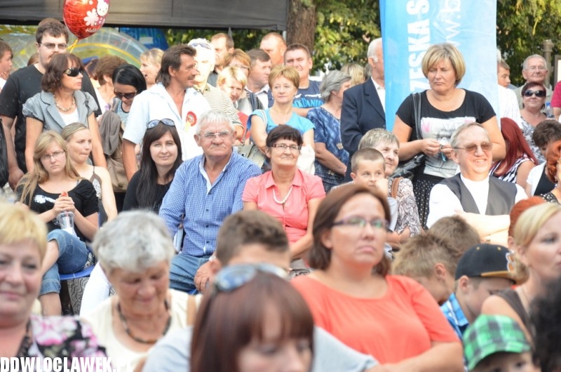Dożynki w Brześciu Kujawskim - Koń Polski