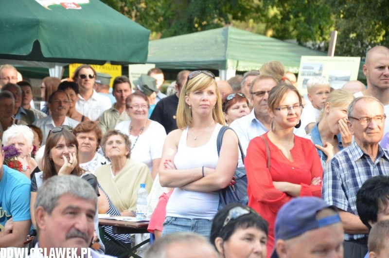 Dożynki w Brześciu Kujawskim - Koń Polski