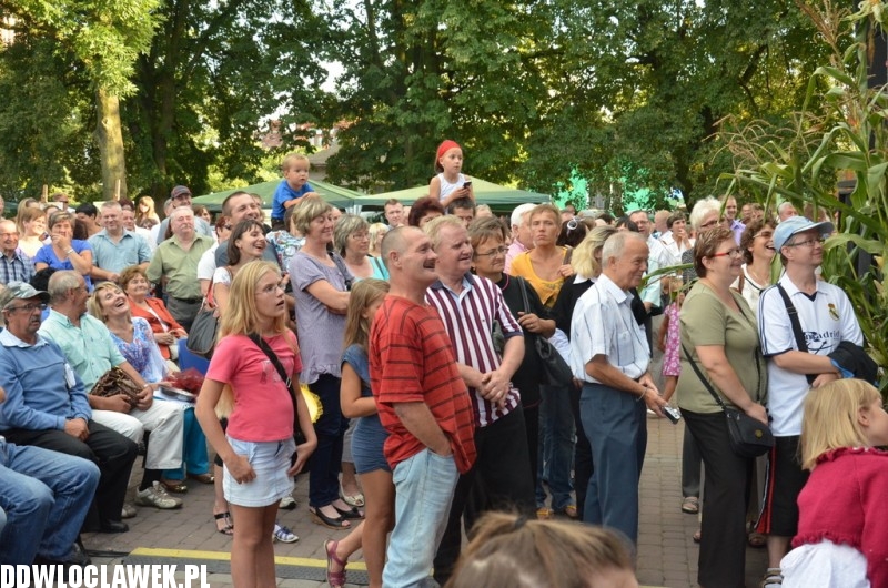 Dożynki w Brześciu Kujawskim - Koń Polski