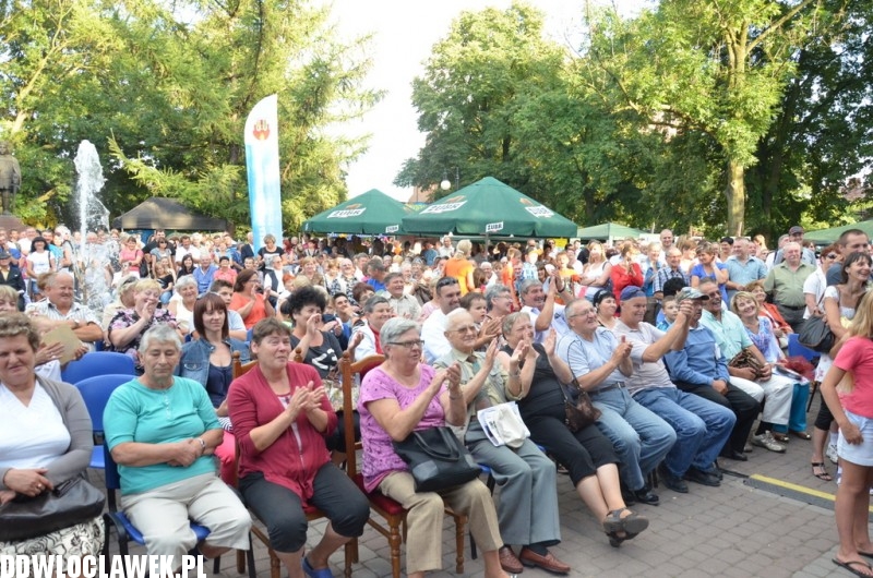 Dożynki w Brześciu Kujawskim - Koń Polski