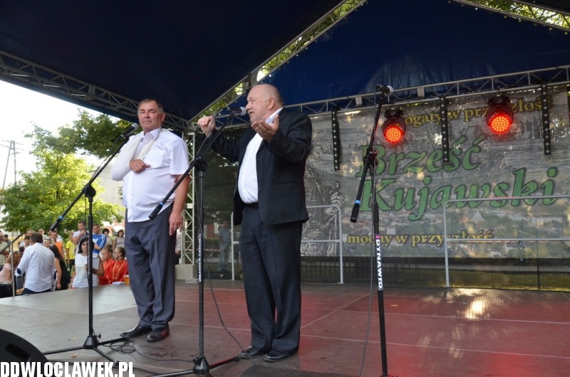 Dożynki w Brześciu Kujawskim - Koń Polski