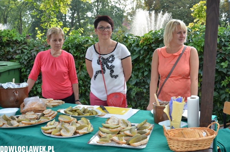 Lato w parku. Impreza plenerowa w Kowalu
