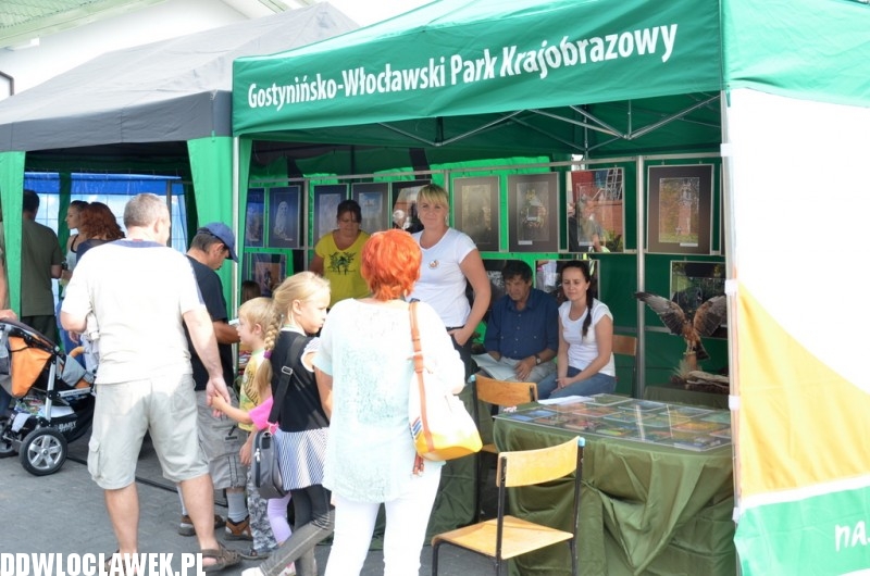 Lato w parku. Impreza plenerowa w Kowalu
