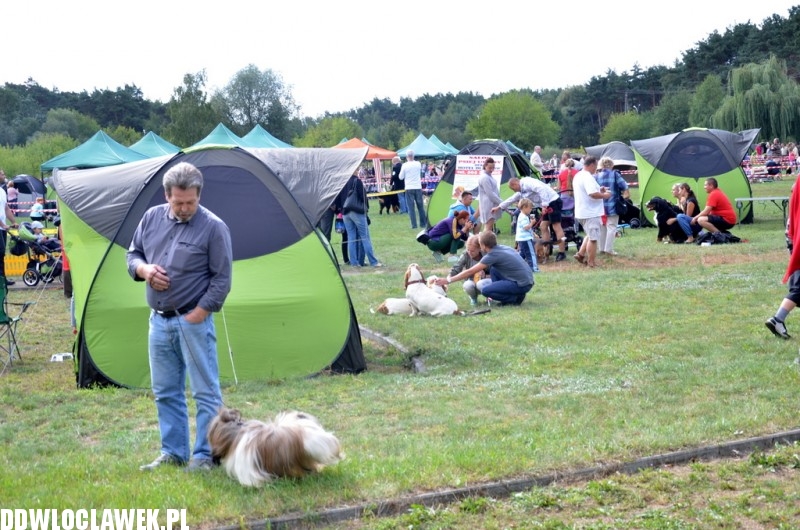 XXV Krajowa Wystawa Psów Rasowych