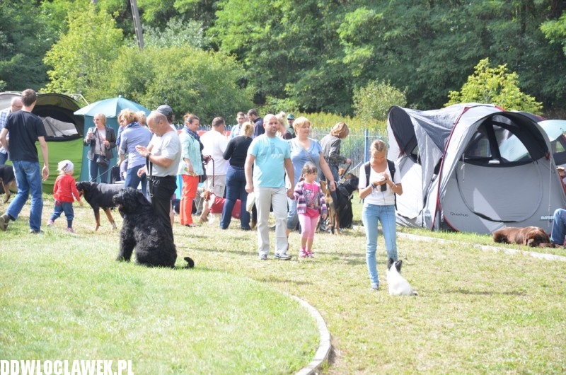 XXV Krajowa Wystawa Psów Rasowych