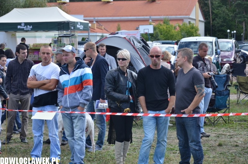 XXV Krajowa Wystawa Psów Rasowych