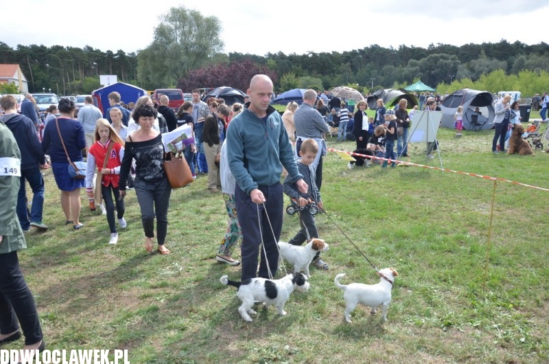 XXV Krajowa Wystawa Psów Rasowych