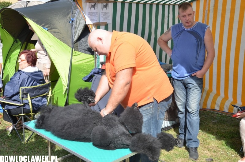 XXV Krajowa Wystawa Psów Rasowych