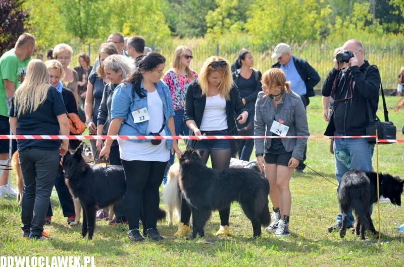 XXV Krajowa Wystawa Psów Rasowych