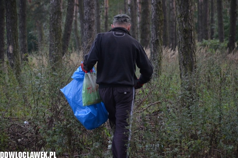Więźniowie wzięli udział w sprzątaniu świata