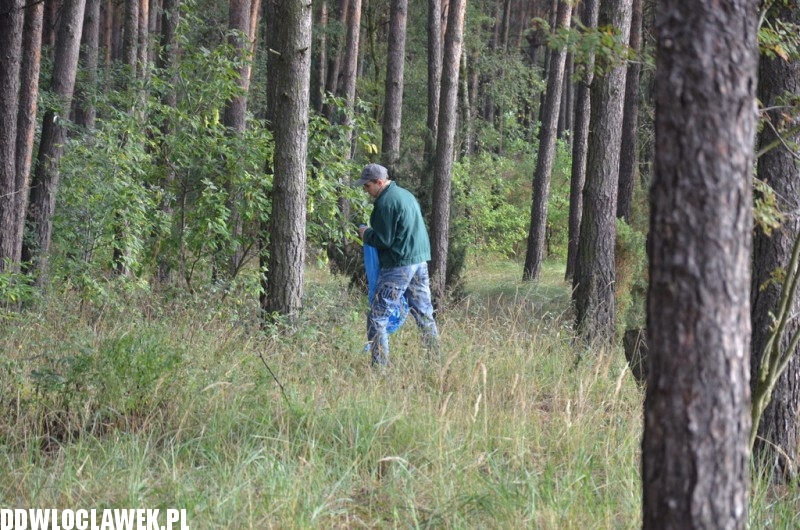 Więźniowie wzięli udział w sprzątaniu świata
