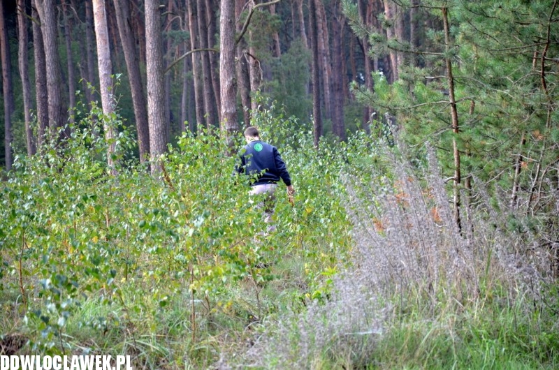 Więźniowie wzięli udział w sprzątaniu świata